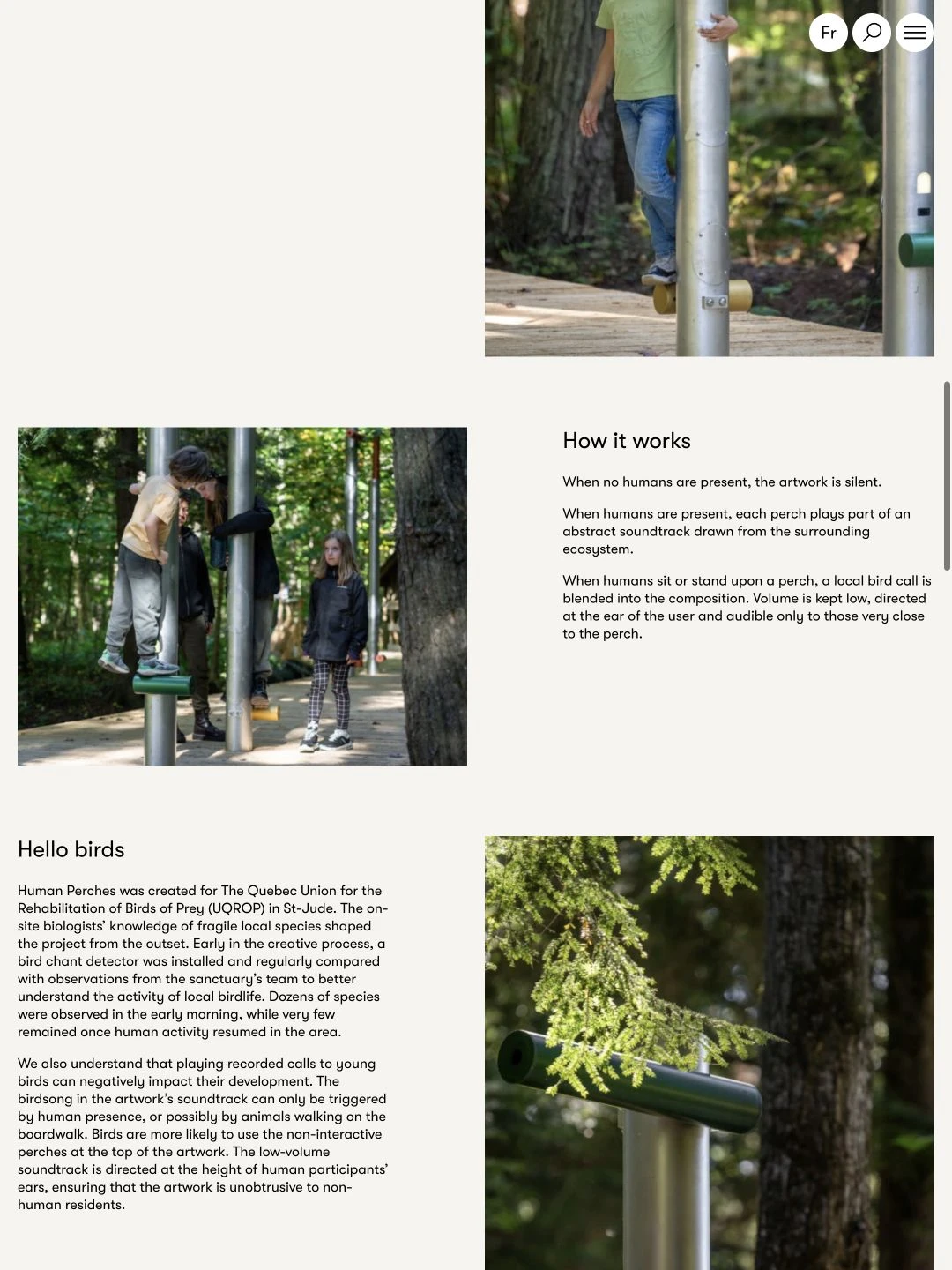 Complete How it works quotation and Hello birds description with source photographs